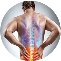 Spine & Joint Disorders